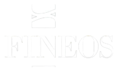 partners_fineos