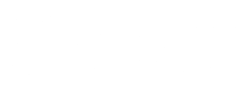 partners_gong