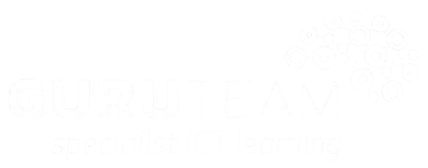 partners_guruteam